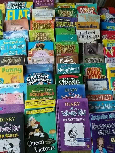 Photo of Children story books (Woodley, RG5) #1