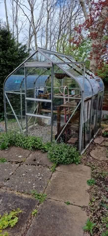 Photo of free Greenhouse (Stourbridge DY5) #2