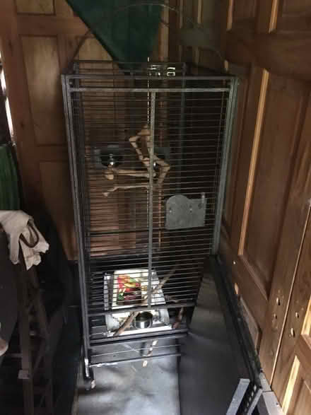 Photo of free Large bird cage (Laindon) #2