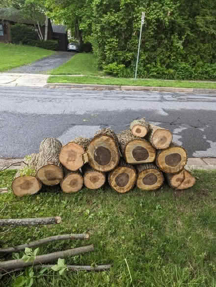 Photo of free Wood (Highlands in State College) #1