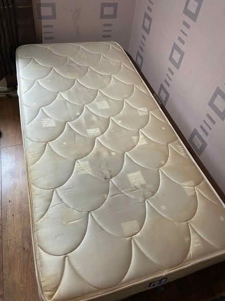 Photo of free Single Bed (Westhougton) #4