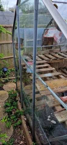 Photo of free Greenhouse (Stourbridge DY5) #3