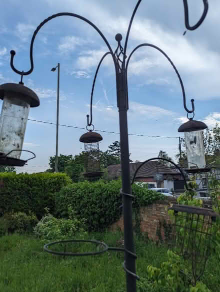 Photo of free Bird feeder (Steventon OX13) #1
