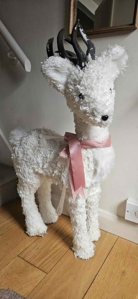 Photo of free Deer prop (Reading RG1) #1
