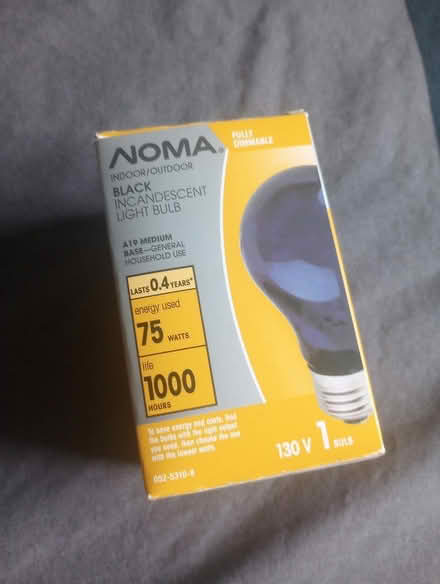 Photo of free Black Incandescent Lightbulb (East York) #1