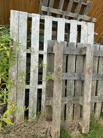 Photo of free Pallets (Birmingham Tyseley B11) #2