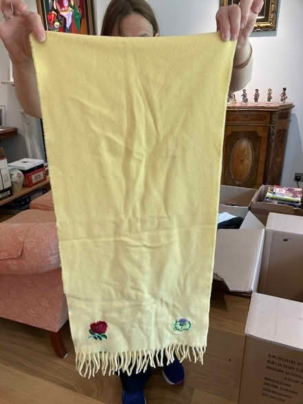 Photo of free Yellow scarf (Beaconsfield HP9) #3