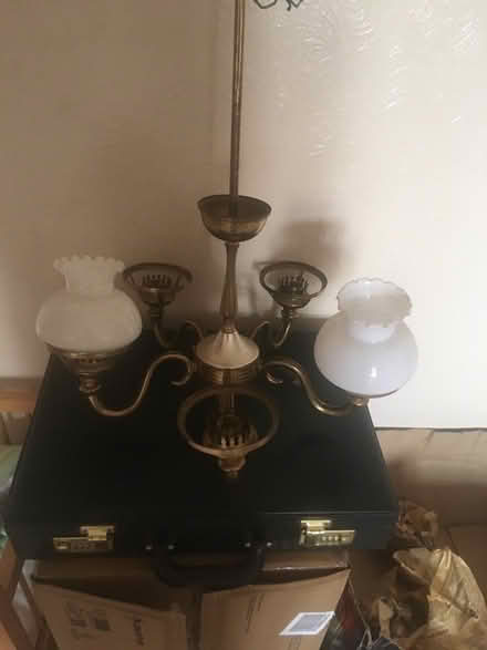 Photo of free Pendant Ceiling light fitting with shades (Finedon NN9) #1