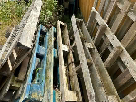 Photo of free Pallets (Birmingham Tyseley B11) #1