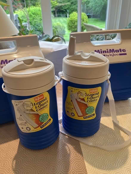 Photo of free Igloo thermos and coolbox set (Beaconsfield HP9) #4