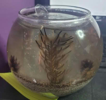 Photo of free Clear candle (Bloomingdale) #3
