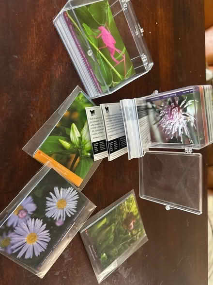 Photo of free Nature Cards (West Oakland) #1