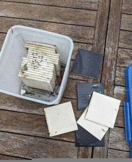 Photo of free Plastic plant pots, etc (BN3) #3