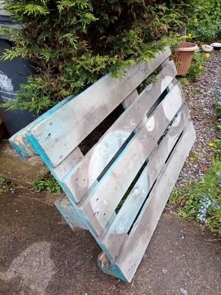 Photo of free Wooden Pallet (Cullercoats NE30) #3