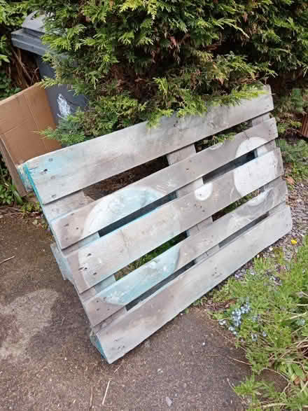 Photo of free Wooden Pallet (Cullercoats NE30) #2