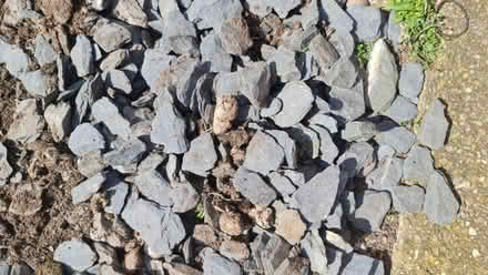 Photo of free Any Gardeners, or anyone...want any blue slate? (Short Heath B23) #2