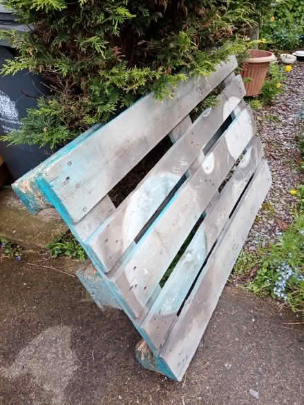 Photo of free Wooden Pallet (Cullercoats NE30) #1