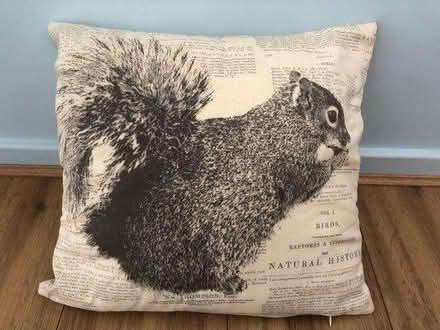 Photo of free Pillow with squirrel picture (IP8) #1