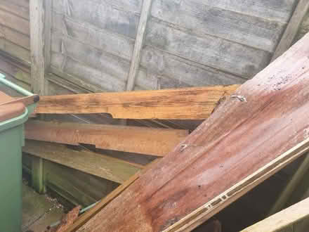Photo of free Wood (CT4) #2