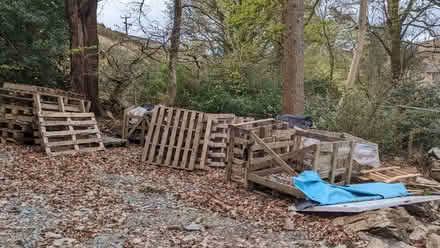 Photo of free Pallets (Applethwaite CA12) #3