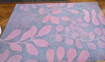 Photo of free Rug (L37) #1