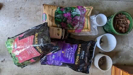Photo of free Orchid and Violet special dirt/pots (W Vancouver (Hazel Dell))