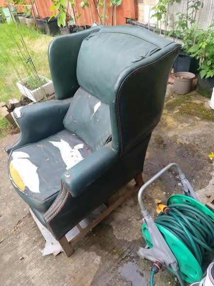 Photo of free Single sofa (Morden SM4) #1