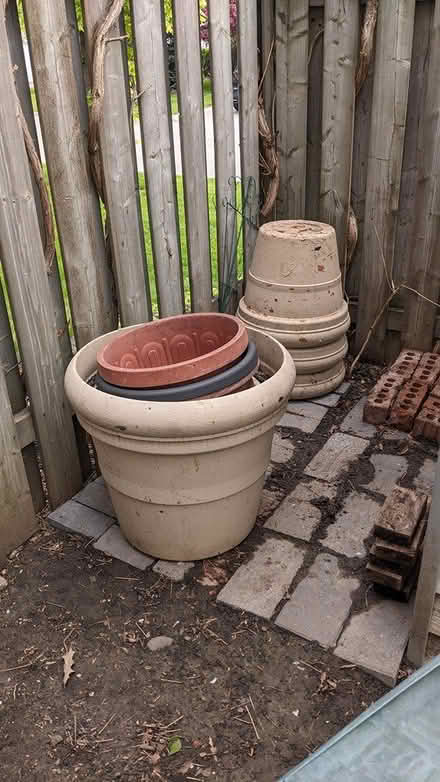 Photo of free Big plant pots (Jane/Majormac) #1