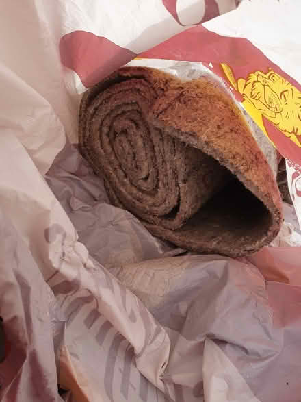 Photo of free Underlay (S2 Wybourn) #2