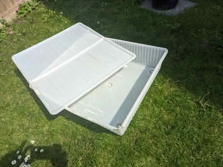 Photo of free Plastic underbed storage box (West Wickham BR4) #3