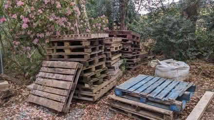 Photo of free Pallets (Applethwaite CA12) #1