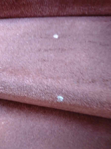 Photo of free Old stair carpet (EH12 Saughtonhall) #3
