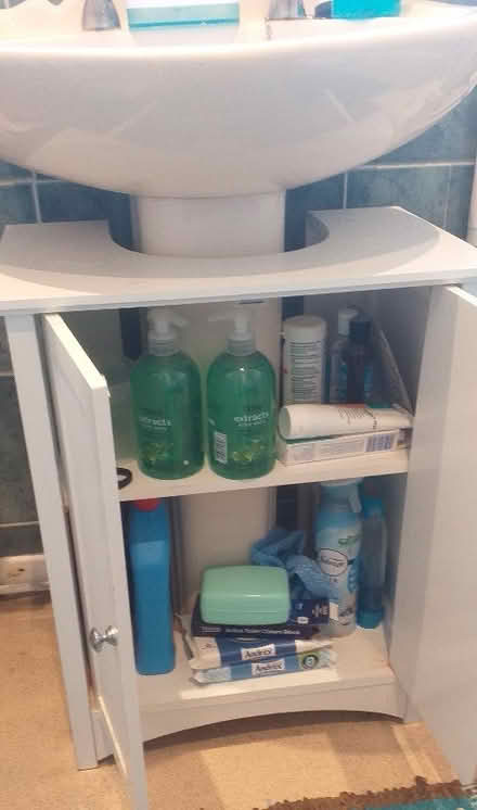 Photo of free Bathroom cupboard (under sink, pedestal style) (White City GL4) #2