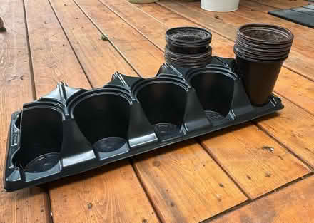 Photo of free starter plant pots and tray (Mississauga/ Streetsville) #1