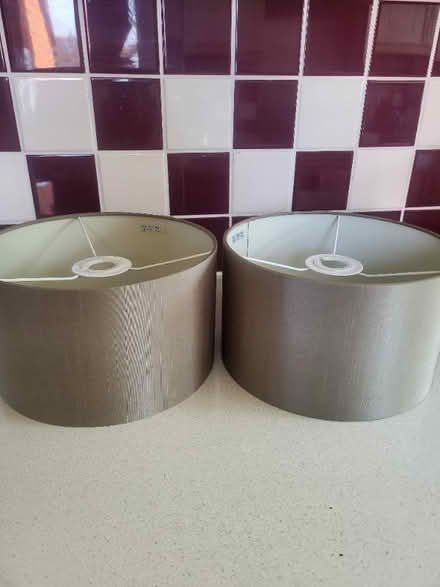 Photo of free Lampshades (Woodley RG6) #1