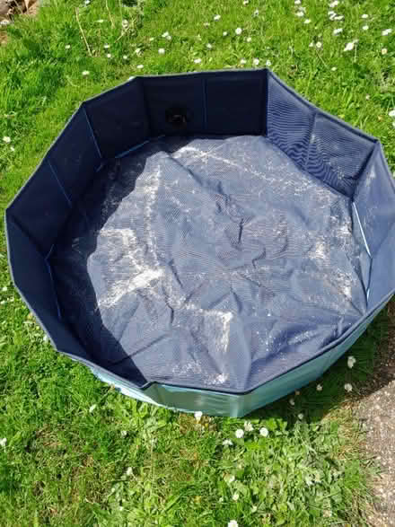 Photo of free Dog Paddling Pool. (Waterlooville PO8) #1