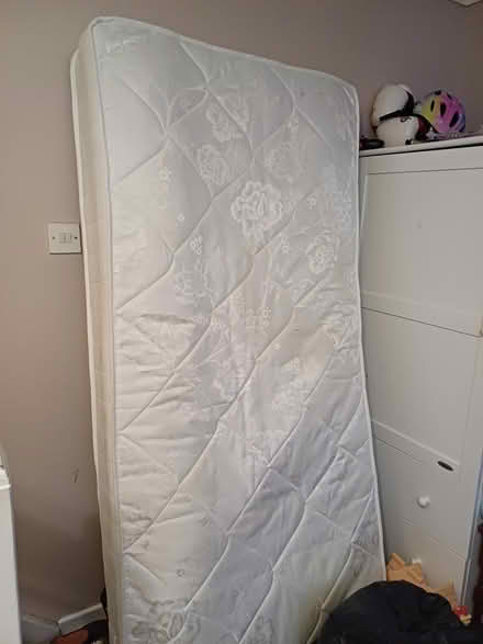 Photo of free Single mattress (PL6)