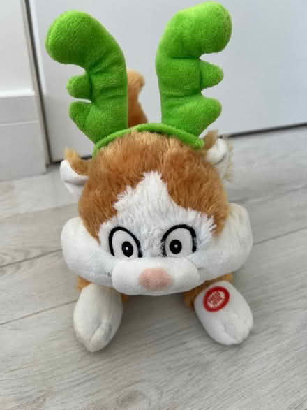 Photo of free Christmas toy (Earley RG6) #2
