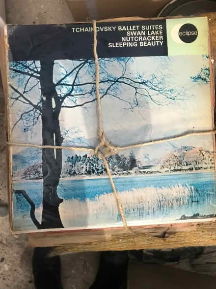 Photo of free Job lot of shellac records (classical) (Downley HP13) #2