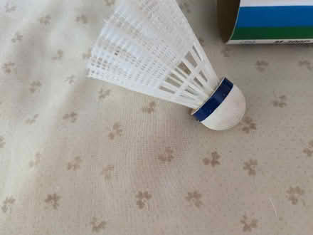 Photo of free Badminton shuttle cocks (Burnham SL1) #3