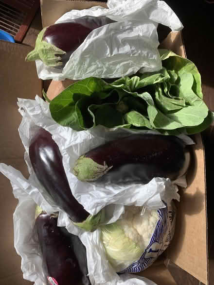 Photo of free A box of veggies (Los Altos) #1