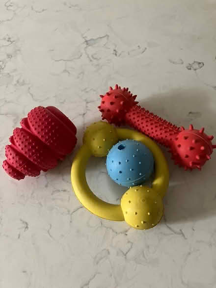 Photo of free Puppy Toys (Beaconsfield HP9) #1