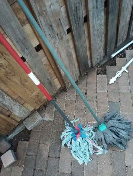 Photo of free Mops (Drylaw EH4) #1