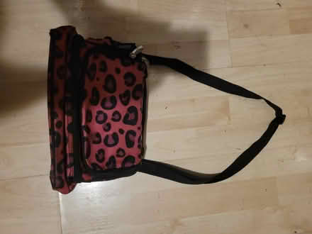 Photo of free Lunch bag cooler (Jeff Park 60630) #3