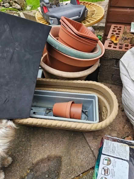 Photo of free Plant pots (Westleigh WN7) #1