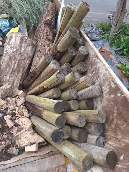 Photo of free firewood logs (Strawberry Fields CV21) #3