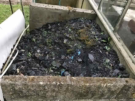 Photo of free Coal domestic (Near Blackmore CM15) #2