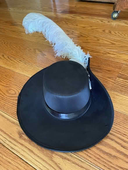 Photo of free Muscateer/Pus-n-boots Hat (El Camino and Distel Drive) #2