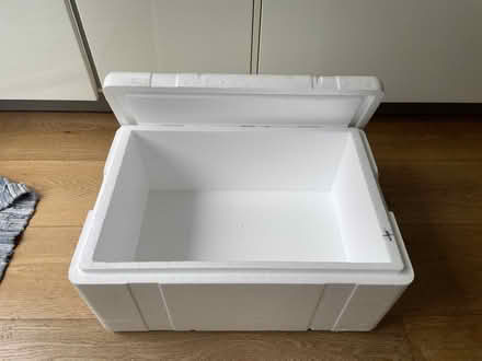 Photo of free 3xlarge styrofoam cooler (SW11) #2