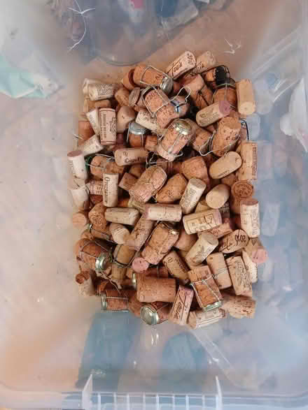 Photo of free Wine bottle corks (Boroughbridge) #1